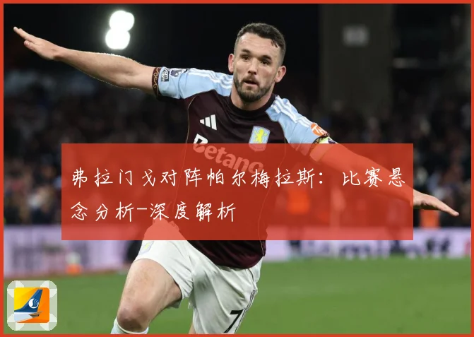 弗拉门戈对阵帕尔梅拉斯：比赛悬念分析-深度解析