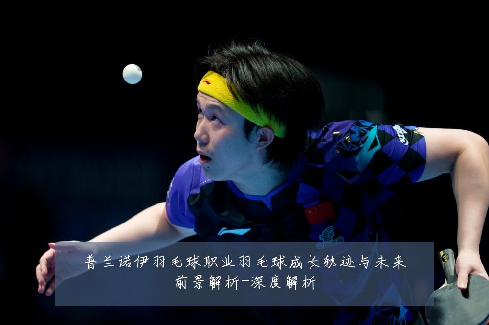普兰诺伊羽毛球职业羽毛球成长轨迹与未来前景解析-深度解析